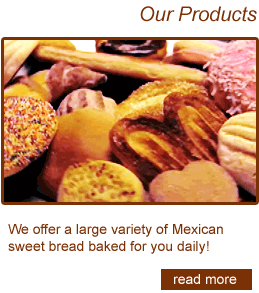 Our Products