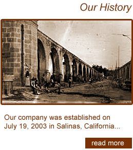 Our History